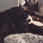Reuben Patrick - @reuben_patrick09 - Instagram