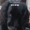 Reuben ross - @reuben4743 - TikTok