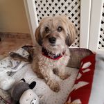 Albertus Wallace Reuben - @wallacereubenalbertus - Instagram