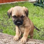 Reuben Wilkinson - Facebook