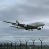 Reuben Wilkinson - @reubenaviation - TikTok
