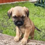 Reuben Wilkinson - @reuben.wilkinson.754 - Instagram
