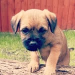 Reuben Wilkinson - @reubsboy - Instagram