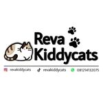 Reva Cat House - @revakiddycats - Instagram