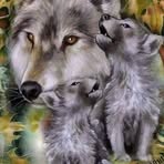 Reva Stanford - Facebook