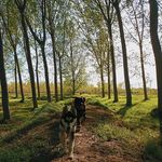 Rex&Alma - @rex.and.alma - Instagram