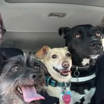 Rex /charlie Van Etten/maggie andersen - @rex_charlie_maggie_ - Instagram