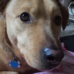 Rex Bagley - @rex_is_cute - Instagram