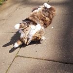 @_rex_bailey_ - Instagram