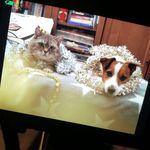 Barton and Rex - @bartonandrex - Instagram