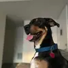 Rex Barton - @rex.barton - TikTok