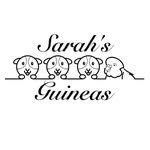 Rex and Bean and Brownie - @sarahs_guineas - Instagram