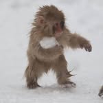 @rexbean - Instagram