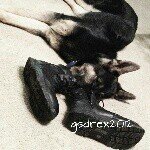 Rex Bear - @gsdrex2012 - Instagram