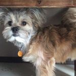 Rex - @rex_bear_567 - Instagram