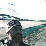 Rex Beaver - @doggo_walks - Instagram