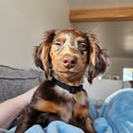 Rex Beavers - @rex.beavers - Instagram