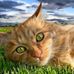 Rex Beavers - Facebook