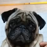 @rex.benjamin_ - Instagram