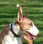 Rex Benton - Facebook