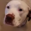 rexbohndorf - @rexbohndorf - TikTok