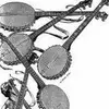 Rex Bolin - @rexbolin1 - TikTok