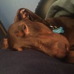 Brayden - @rex_and_brayden - Instagram