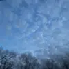 Brinkman 🪶🪶 - @._brinkman - TikTok