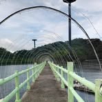 Rex Briones Variante - Facebook