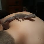 rexcarroll542 - @rexcarroll542 - Instagram