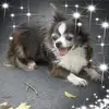 rexcastro273 - @rexcastro273 - TikTok