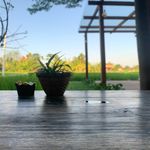 RexChampion - @rexchapman_ - Instagram