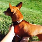 Rex Clark - @r_e_x_888 - Instagram