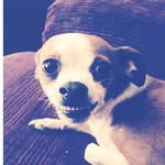 🍀Rex Lobozer Coffey🍀 - @lobozer_rex - Instagram