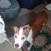 Rex Cox - Facebook