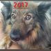 Rex Cunningham - Facebook