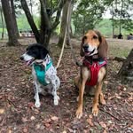 Rex Cunningham - @rexs_fixin_and_fiddlin - Instagram