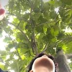 Rex Daniel - Facebook