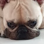 Rex David - @rexdaviddrc - Instagram