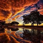 Rex Edwards - @rexed8 - Instagram