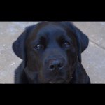 Rex Edwards - @rexford09 - Instagram