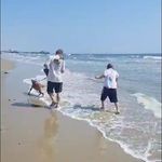 Rex Edwards - @602crawler - Instagram