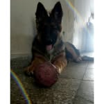 REX - @rex.estrada - Instagram