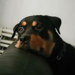 Rex Ferguson - @funkmaster_rex - Instagram