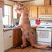 Rex Forrester - Facebook