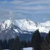 rexxforresterr - @rexxforresterr - TikTok