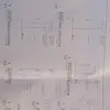 Rex Frank - @rex.frank1 - TikTok