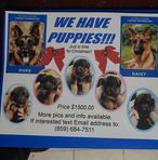 Rex Fulton - Facebook