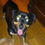 Rex Fulton - Facebook
