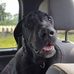 Rex Givens - Facebook